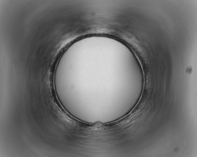 X0000098021404200804181150