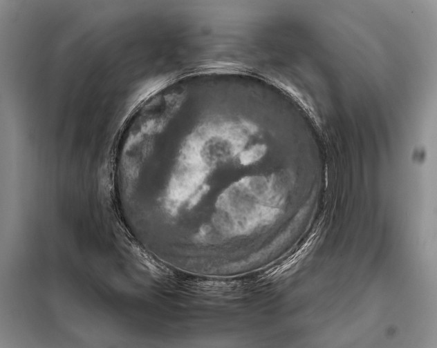 X0000098021405200804181150