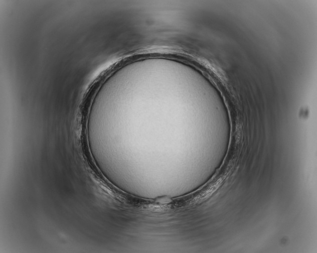 X0000098021406200804181150