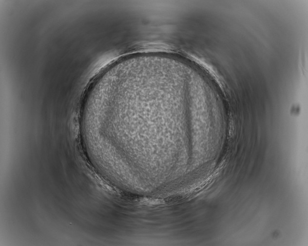 X0000098021407200804181150