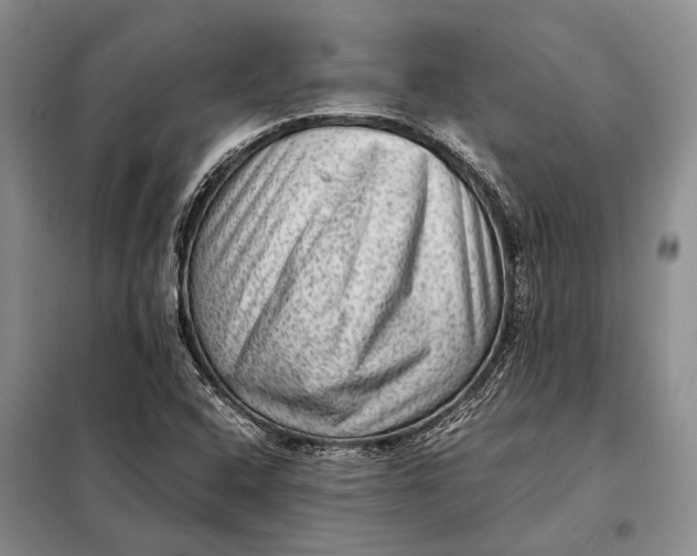 X0000098021408200804181150