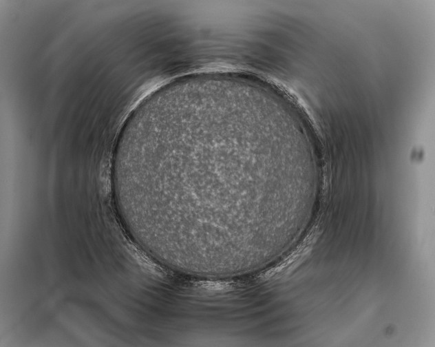 X0000098021409200804181151