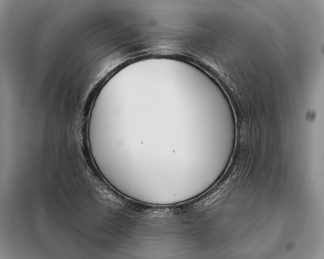 X0000098021410200804181151