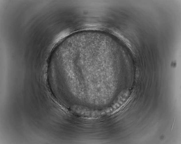 X0000098021411200804181151