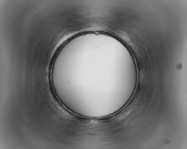 X0000098021412200804181151