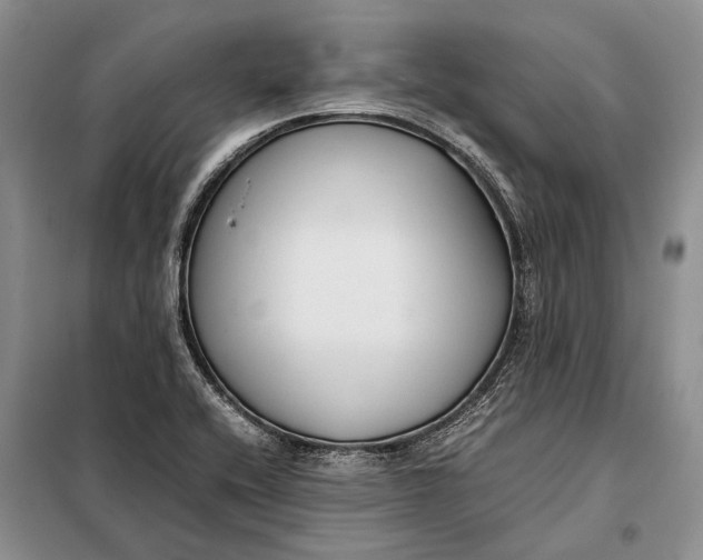 X0000098021416200804181151