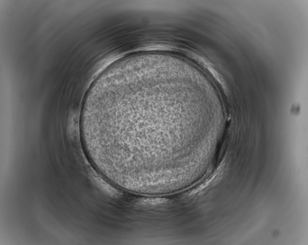 X0000098021417200804181151