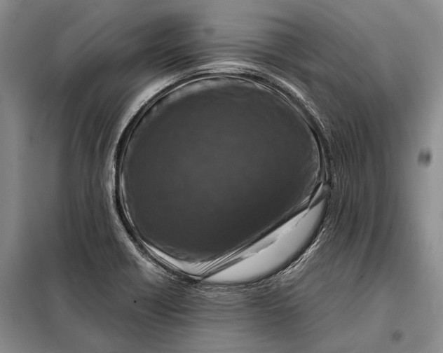 X0000098021418200804181151