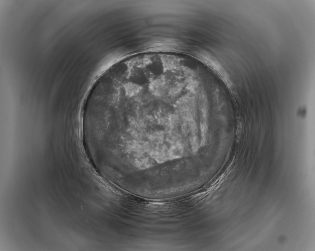 X0000098021419200804181151