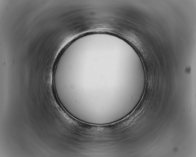 X0000098021420200804181151