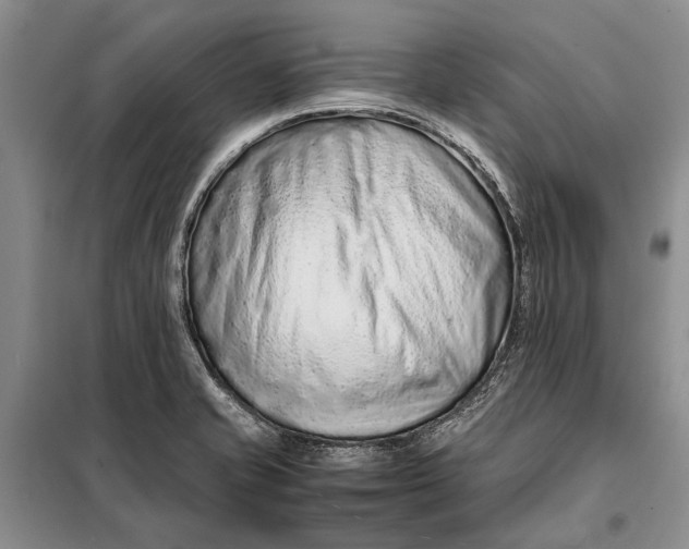 X0000098021421200804181151