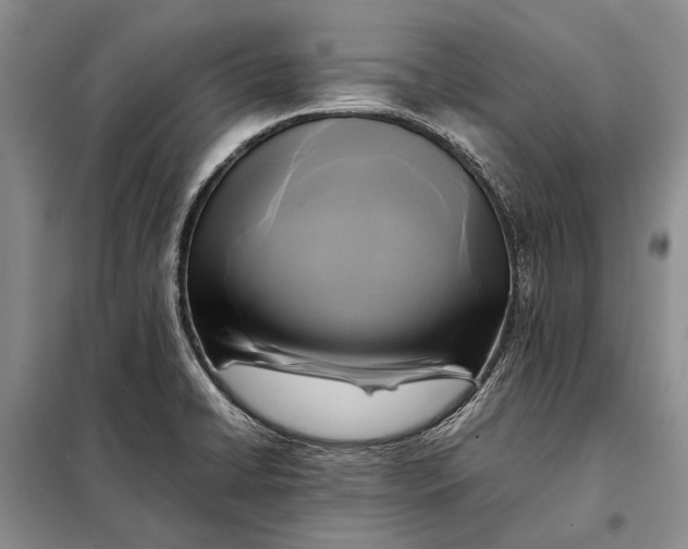 X0000098021422200804181151