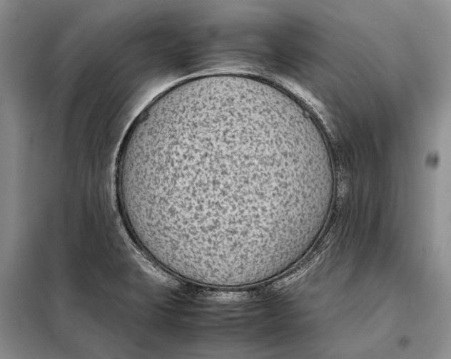 X0000098021423200804181151