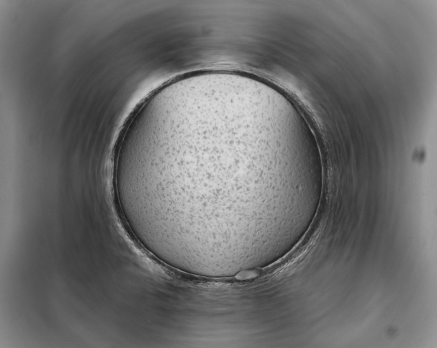 X0000098021424200804181151