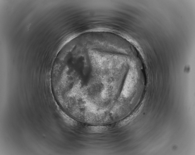 X0000098021425200804181151