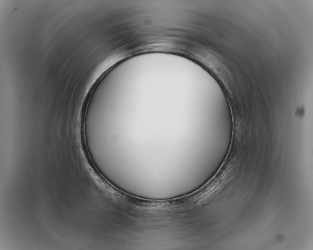 X0000098021426200804181151