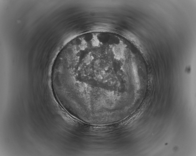 X0000098021427200804181151