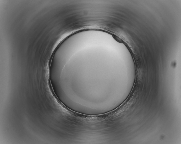 X0000098021428200804181151