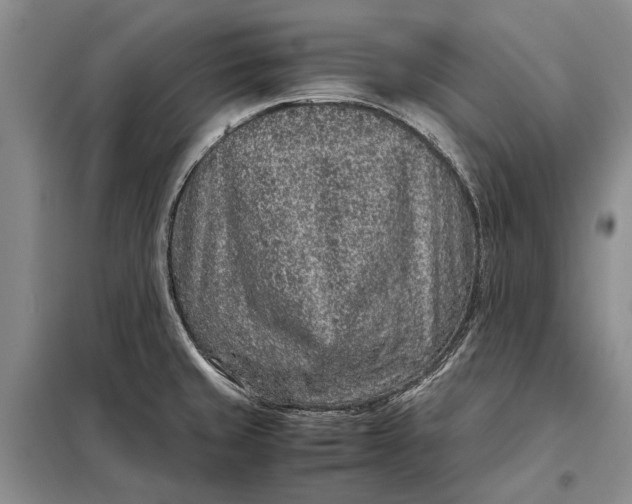 X0000098021429200804181151