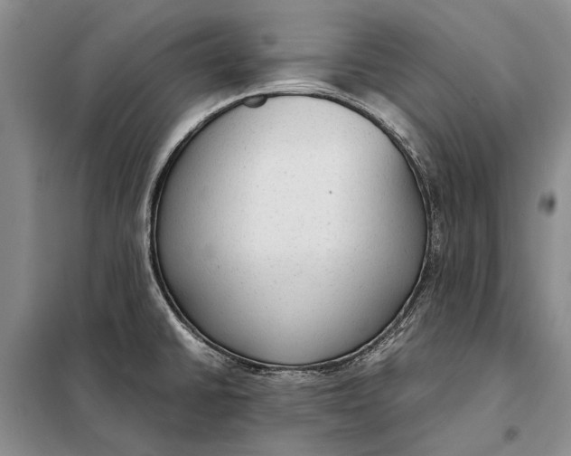 X0000098021430200804181151