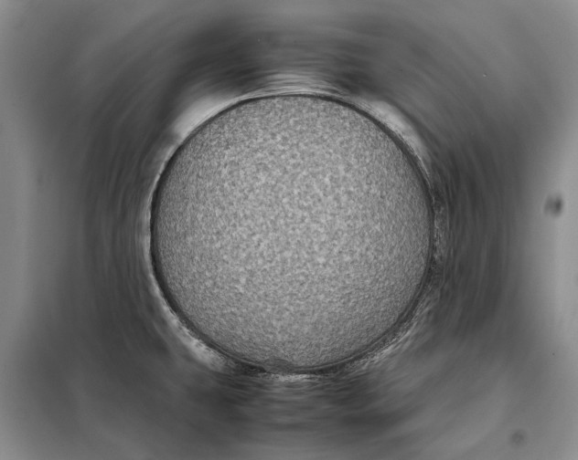 X0000098021431200804181151