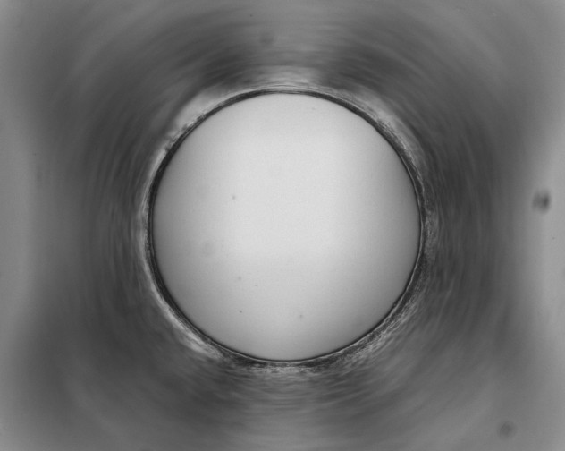 X0000098021432200804181151