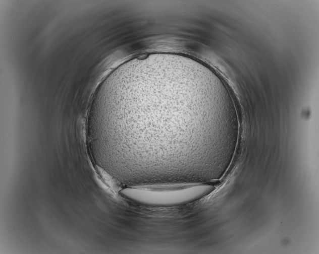 X0000098021433200804181151