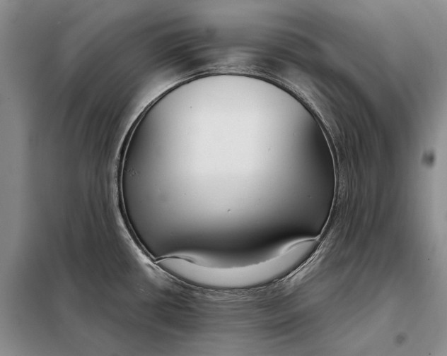 X0000098021434200804181151