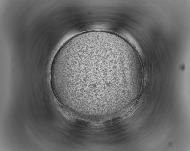 X0000098021435200804181151