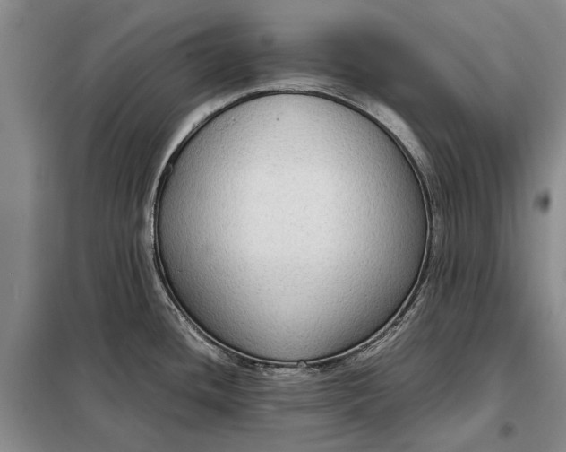 X0000098021436200804181151