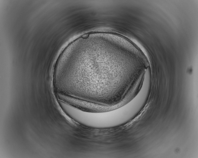 X0000098021437200804181151