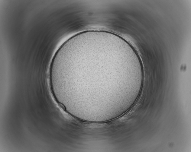 X0000098021440200804181151