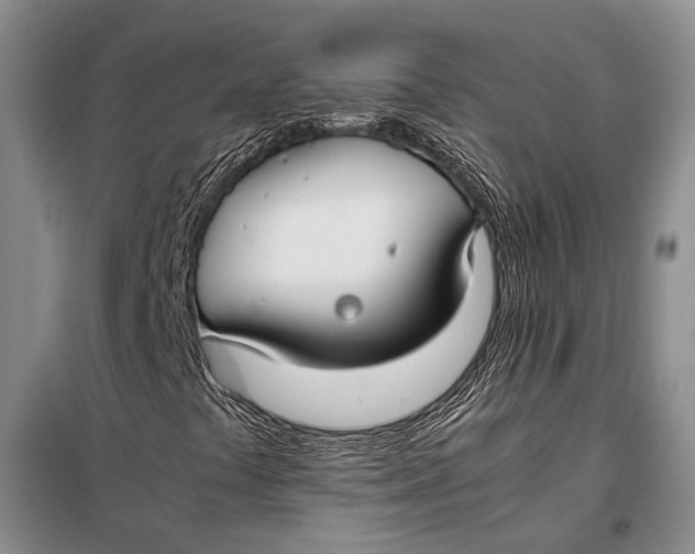 X0000098021441200804181150