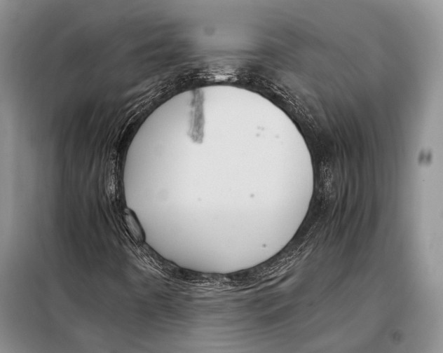 X0000098021442200804181150