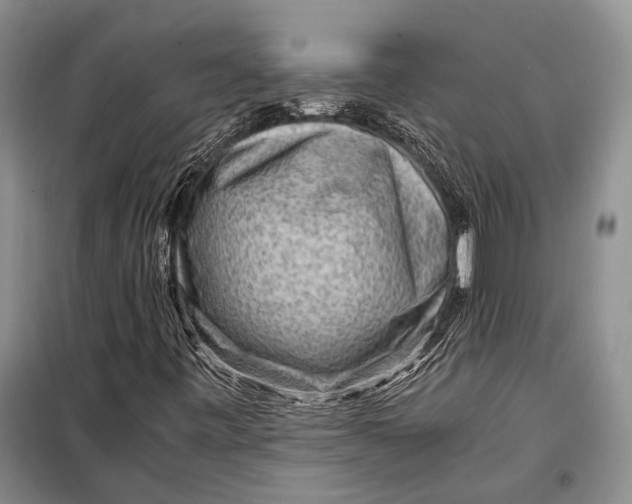 X0000098021443200804181150