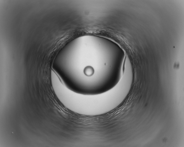 X0000098021444200804181150