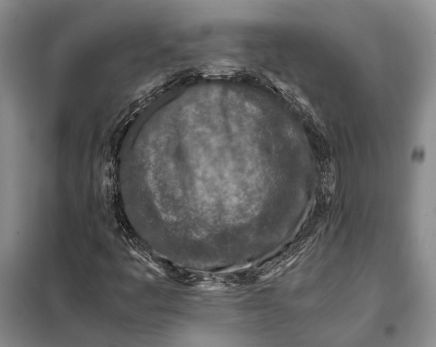 X0000098021445200804181150