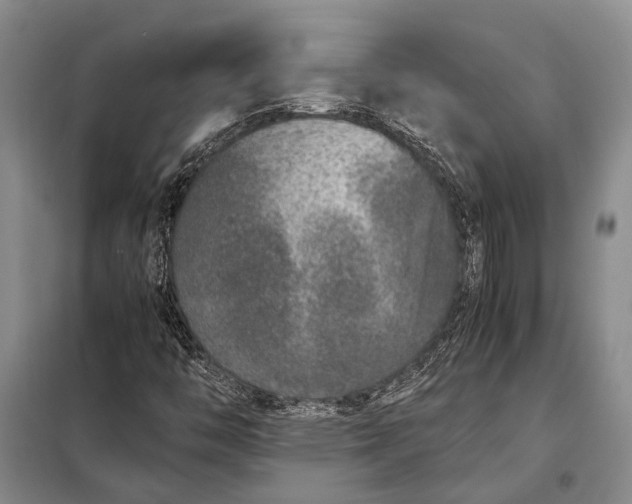 X0000098021446200804181150