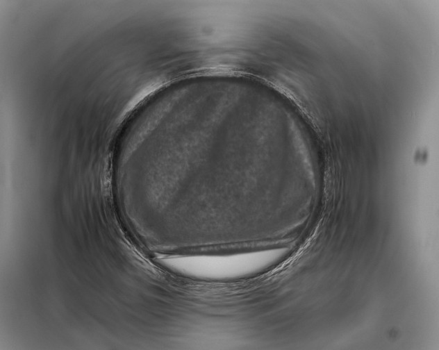 X0000098021450200804181150