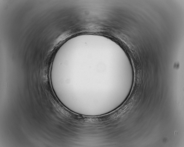 X0000098021451200804181150