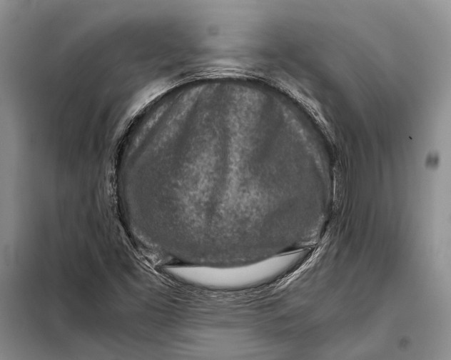 X0000098021453200804181150