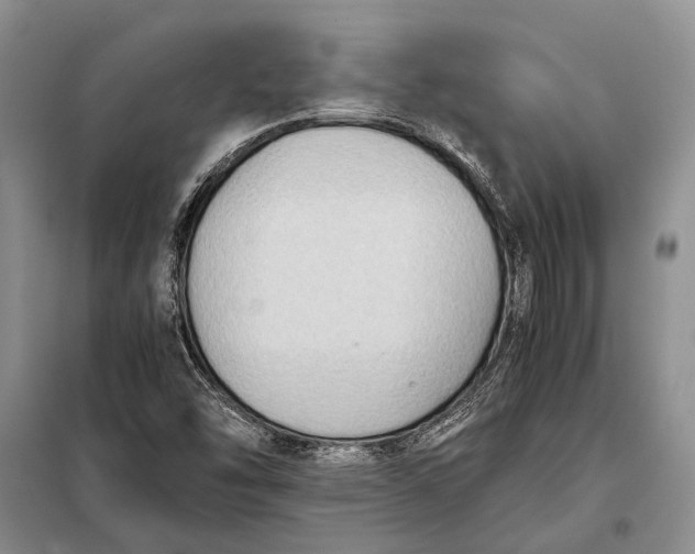 X0000098021454200804181150