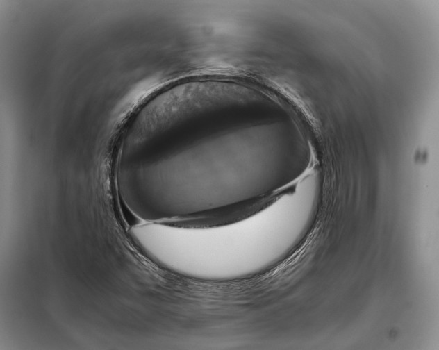 X0000098021455200804181150