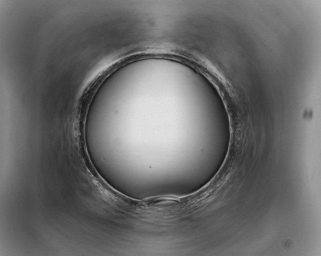 X0000098021456200804181150