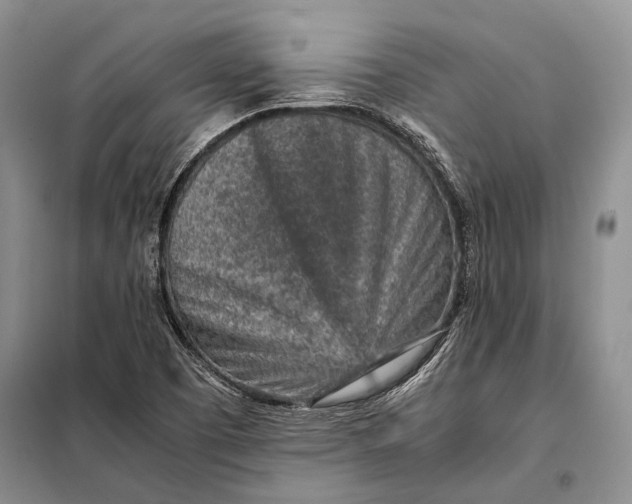 X0000098021457200804181150