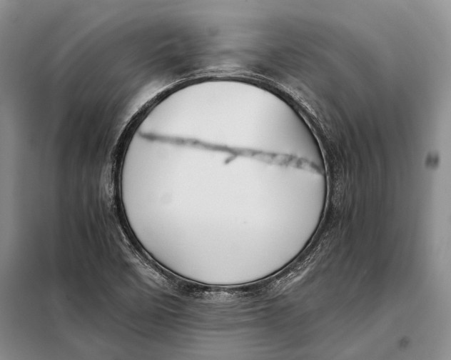 X0000098021458200804181150