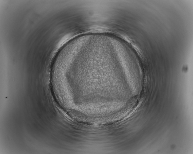 X0000098021459200804181150