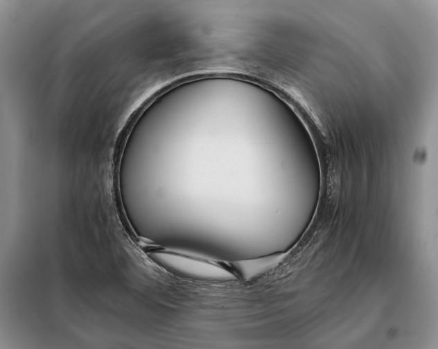 X0000098021460200804181150