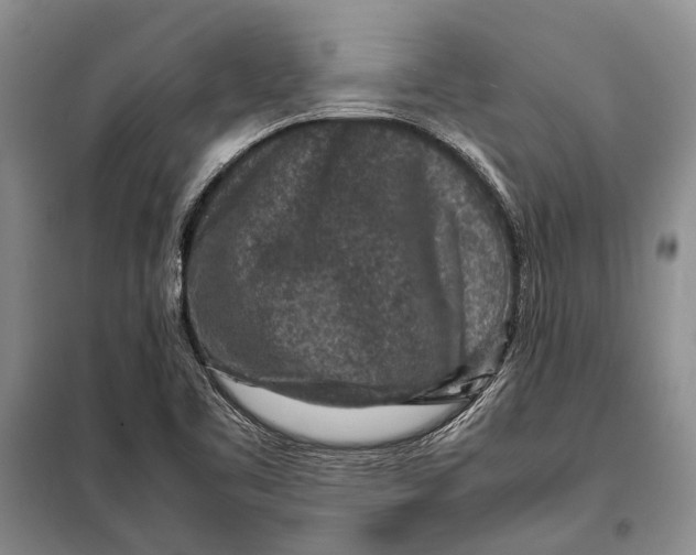 X0000098021461200804181150