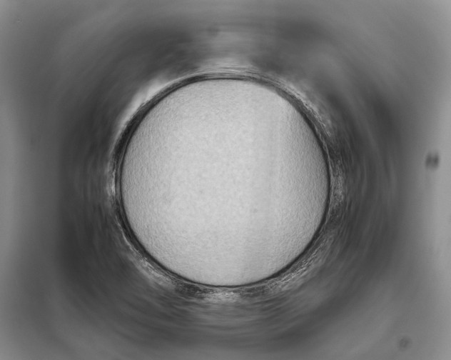 X0000098021462200804181150